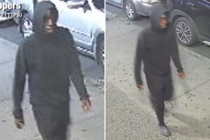 Sicko rapes teen sitting on NYC park bench – in second random sex attack in two days: cops
