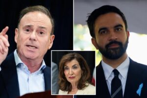 Exclusive | NY Dem Party boss explains controversial decision to stand against Zohran Mamdani: ‘I am not reckless’