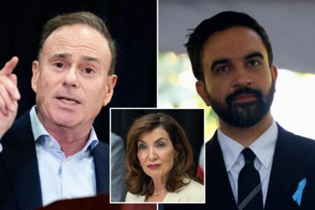 Exclusive | NY Dem Party boss explains controversial decision to stand against Zohran Mamdani: ‘I am not reckless’