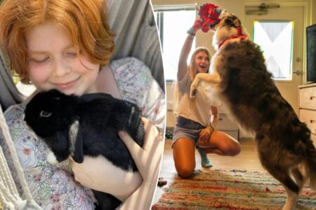 Exclusive | Gen Z students move emotional support pets into dorm rooms to cope with the ‘trauma’ of college: ‘Really comforting’