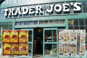 Trader Joe’s fans shout out the best seasonal items to snap up this fall