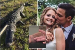 Florida optometrist mauled by 8-foot gator that clamped onto her arm in harrowing tug of war with ‘hero’ husband