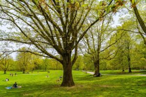 NYC woman, 26, repeatedly punched, knifed by masked stranger during morning Prospect Park jog: sources