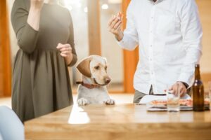 Dear Abby: My boyfriend cooks for our dogs — but won’t for me — do I leave?