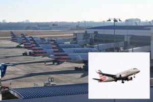 Stowaway found dead in landing gear of American Airlines plane