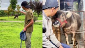 Second chances or glorifying crime? Ex-con influencers go viral in China amid controversy