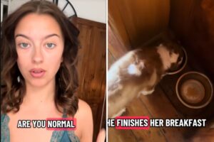 Tears Over Reason Woman Still ‘Feeds’ Her Dog Who Passed Away Months Ago