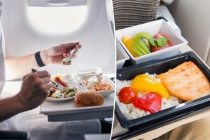 Travel expert lists do’s and don’ts of eating inflight: ‘What’s going to reheat best’