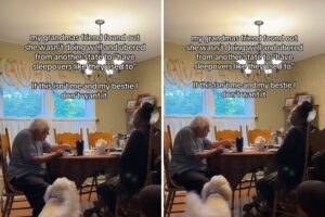 Woman Captures What Grandma’s Best Friend Does for Her: ‘Crying’