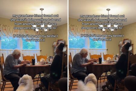 Woman Captures What Grandma’s Best Friend Does for Her: ‘Crying’