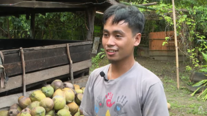 Philippine coconut farmers’ woes in the spotlight at World Coconut Congress