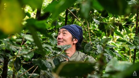 Hot demand, shrinking harvests: Thai coffee faces boom and doom paradox