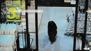 Bear injures two in Japan supermarket, man killed in separate attack