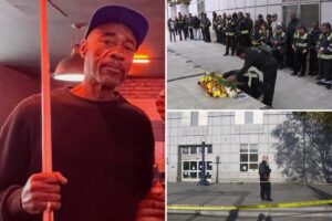 San Francisco street ambassador shot dead while confronting drug user outside library
