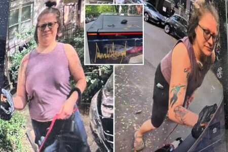 Chicago woman smearing dog poop on Trump-themed Cybertruck caught on camera