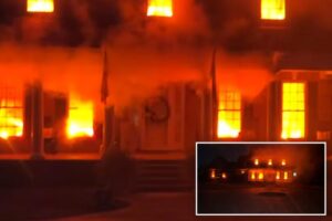 South Carolina couple’s Halloween display sparks constant 911 calls, divides internet: ‘Should be illegal’