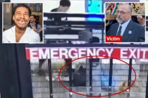 Sickening video of NYC subway beatdown of Italian immigrant shows suspect stomping on him at least a dozen times