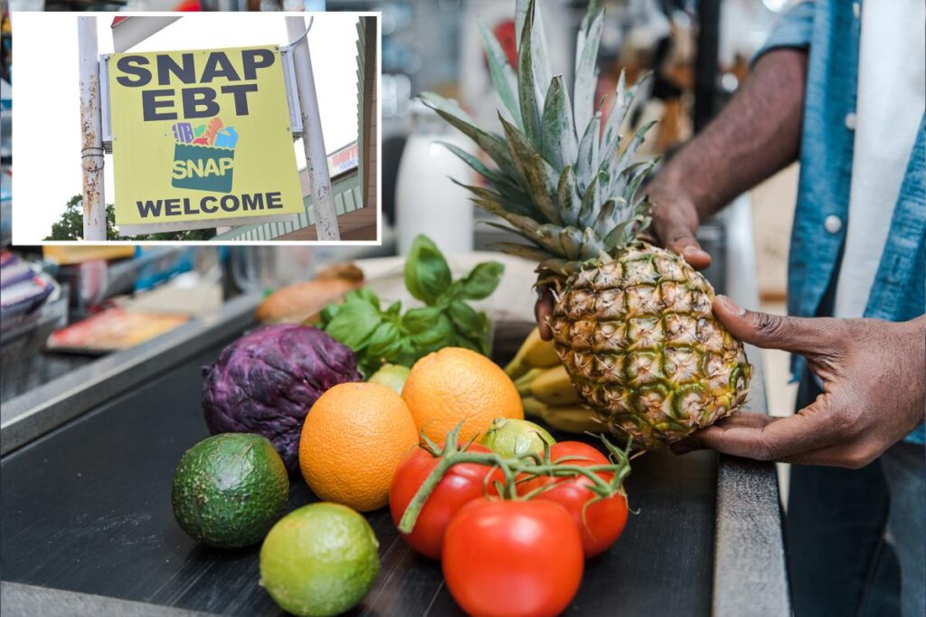 USDA announces no federal SNAP benefits will be delivered over government shutdown, blames Democrats