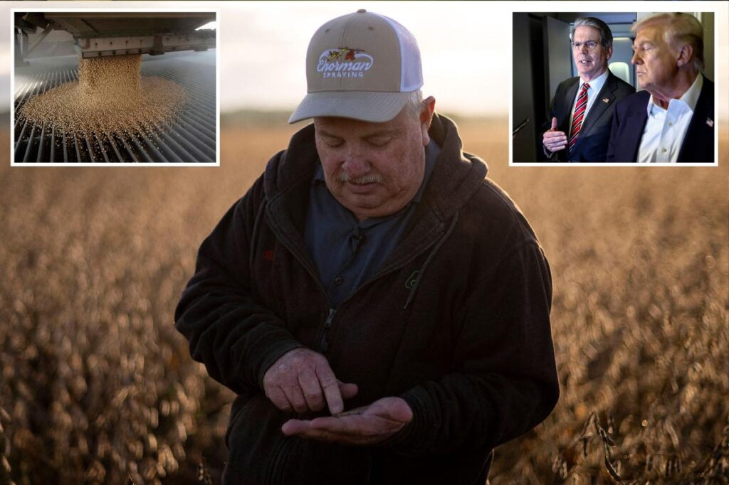 Treasury Secretary Bessent says he felt ‘pain’ from China tariffs because he is ‘actually a soybean farmer’ Treasury Secretary Bessent says he felt ‘pain’ from China tariffs because he is ‘actually a soybean farmer’