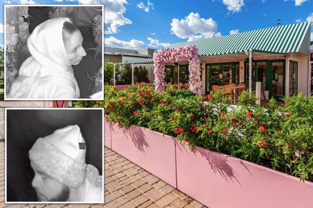 ‘Modern-day Bonnie and Clyde’ caught on camera having sex at popular Arizona eatery before robbing the joint