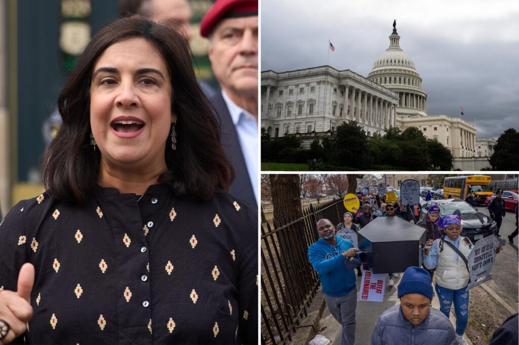 Lawsuit argues New York’s GOP-held 11th Congressional District should be redrawn –‘dilutes Black, Latino voting’