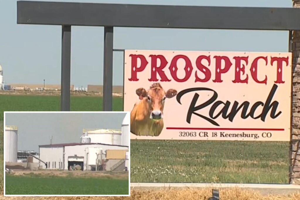 Coroner’s report on 6 deaths at Colorado dairy points to toxic gas exposure
