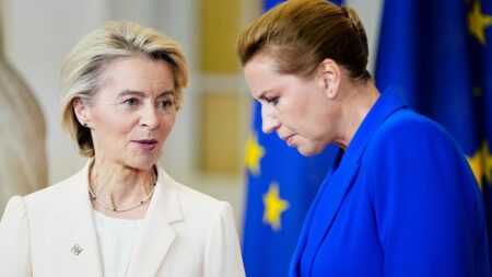 EU leaders give ‘broad support’ for drone wall at Copenhagen summit