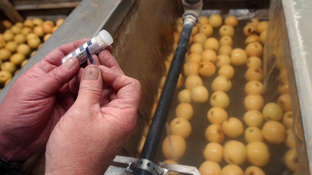 European Parliament rejects simplified sustainability requirements European Parliament rejects simplified sustainability requirements