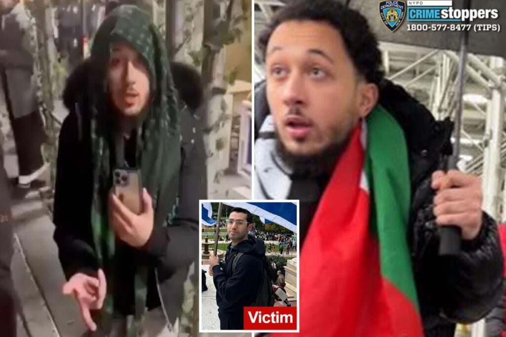 ‘Jew hater’ learns fate for bashing protesters at NYC Israel-Gaza demonstrations