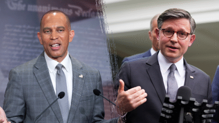 Johnson says Democrats lying about illegal immigrant healthcare push