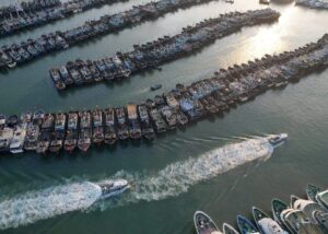 Chinese Fishing Swarm Raises Alarm in South America