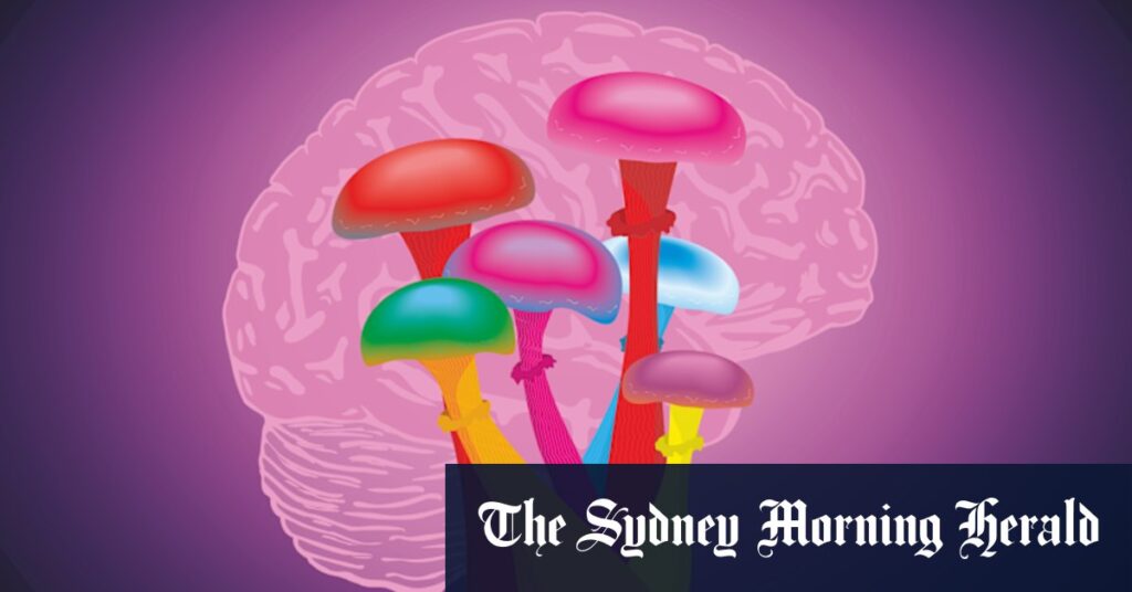 Magic mushrooms, MDMA therapy covered by private health in Brisbane first
