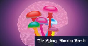 Magic mushrooms, MDMA therapy covered by private health in Brisbane first