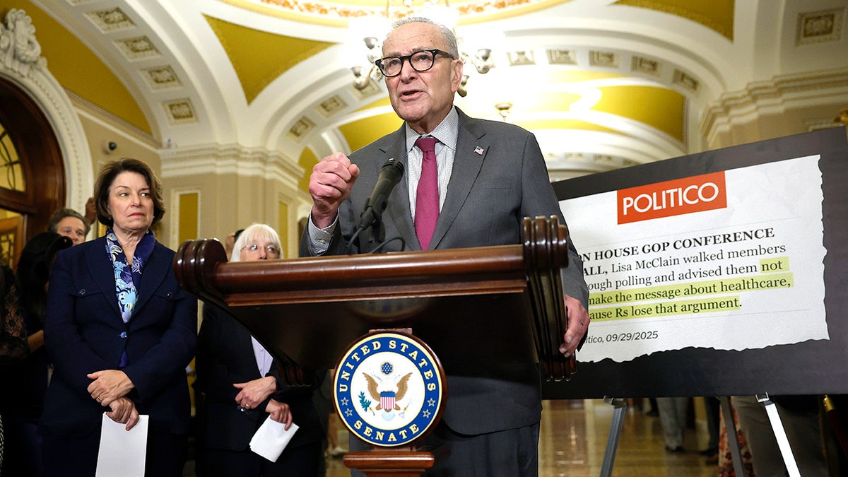 Chuck Schumer speaks at a news conference
