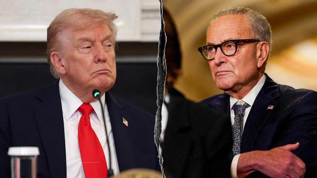 Trump says Schumer, Senate Democrats holding government ‘hostage’ with shutdown: ‘We will not be extorted’