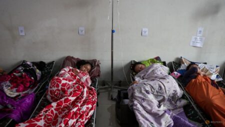 Commentary: Indonesia’s free meals programme is a recipe for risk