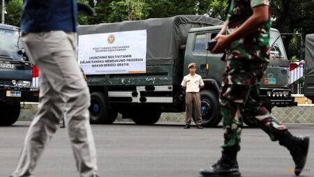 Indonesian military begins producing multivitamins distributed through meals programme