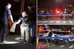 Driver fatally plows into granny, 75, crossing street in NYC, leaves her to die: cops