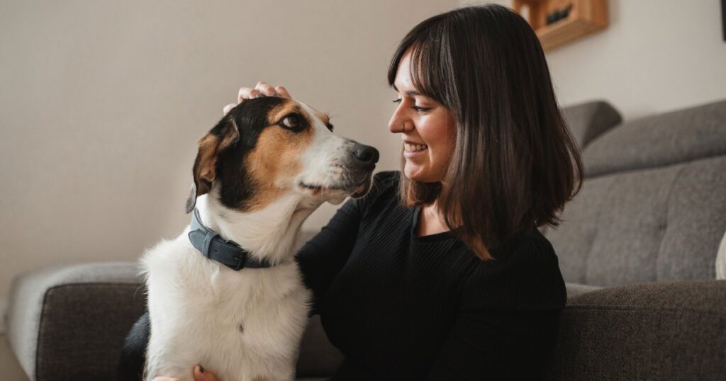 This Pet-Friendly DNA Kit Examines Genetic Markers to Help Parents Stay Informed
