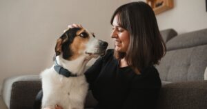 This Pet-Friendly DNA Kit Examines Genetic Markers to Help Parents Stay Informed
