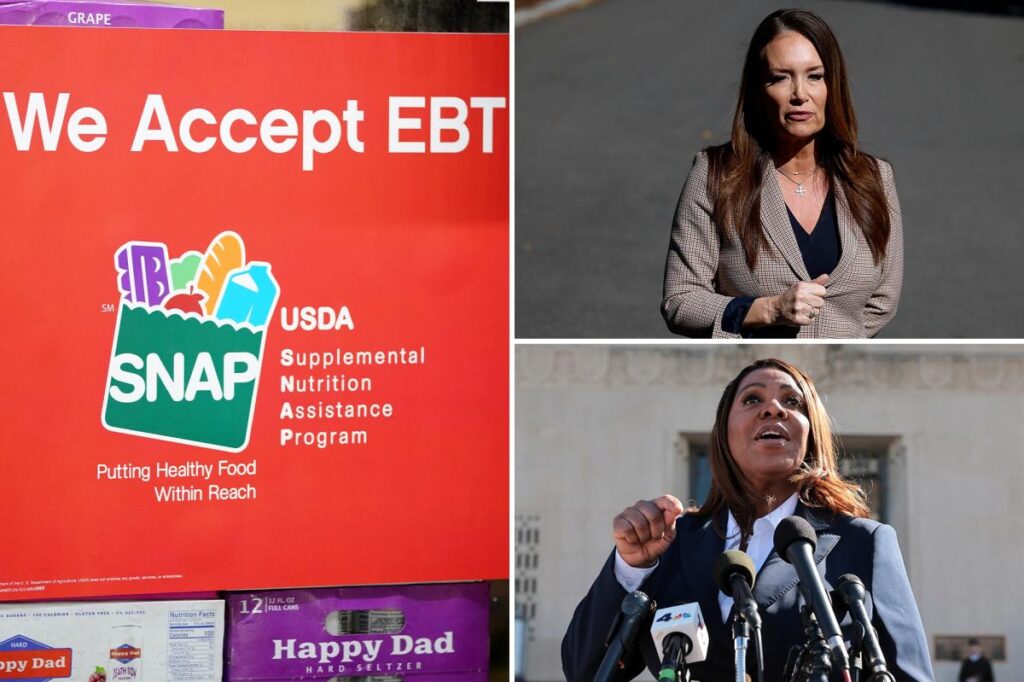 NY, 25 other states sue USDA to keep SNAP benefits rolling during government shutdown