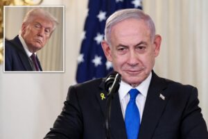 Israel ready for ‘immediate implantation’ of Trump’s Gaza peace plan after Hamas agrees to free hostages: Netanyahu’s office