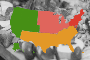 Map Reveals Most Hated Foods in the US