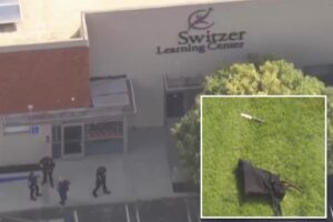 Ex-student allegedly stabs 3 staff members, plants bombs near California special needs school: police