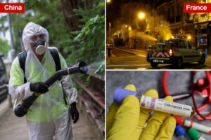 New York health officials confirm state’s first locally acquired case of chikungunya virus