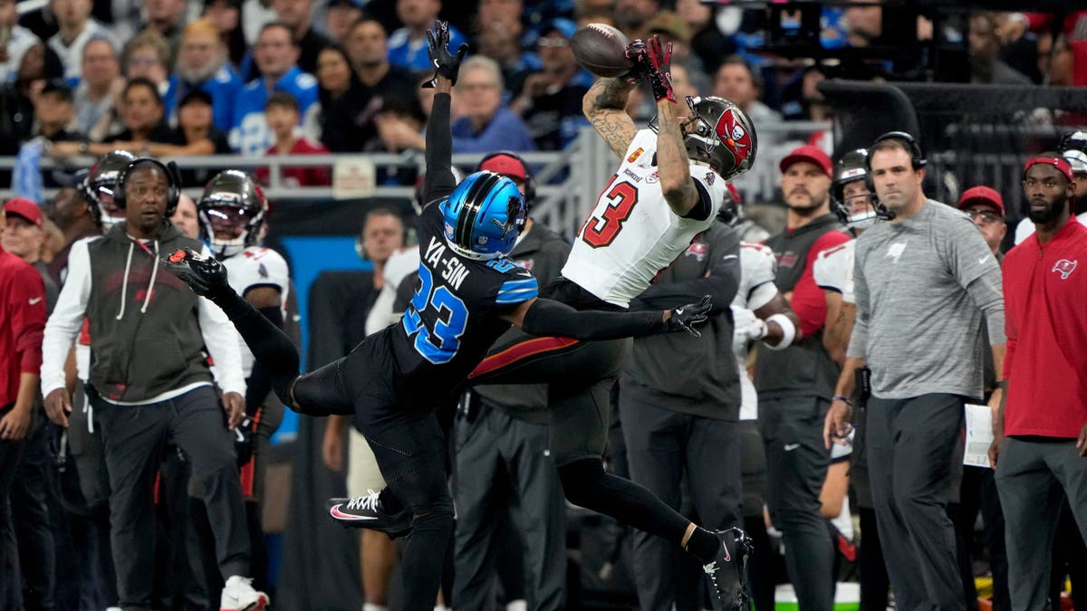 Mike Evans makes a catch