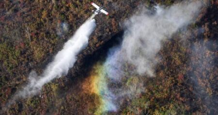 Wildfire in Nova Scotia’s Annapolis Valley under control