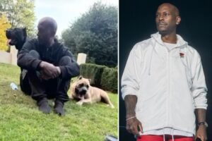 ‘Fast and Furious’ star Tyrese Gibson facing arrest after pet mastiff dogs allegedly mauled neighbor’s dainty spaniel to death
