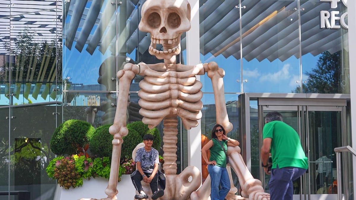 A skeleton Halloween decoration