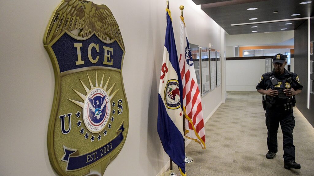 Federal agents nab 1,000+ illegal aliens in major Illinois sweep: ‘Making the state safe again’